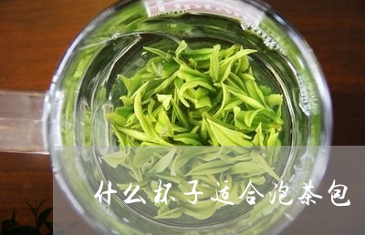 什么杯子适合泡茶包/2023032031704