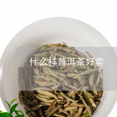 什么样普洱茶好卖/2023031895480