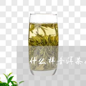 什么样普洱茶好泡/2023031843836