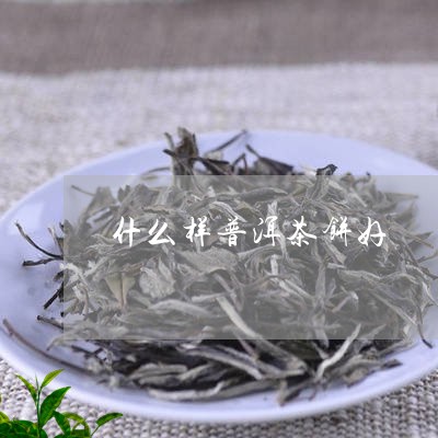 什么样普洱茶饼好/2023033114048