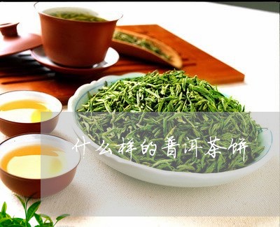 什么样的普洱茶饼/2023033017151