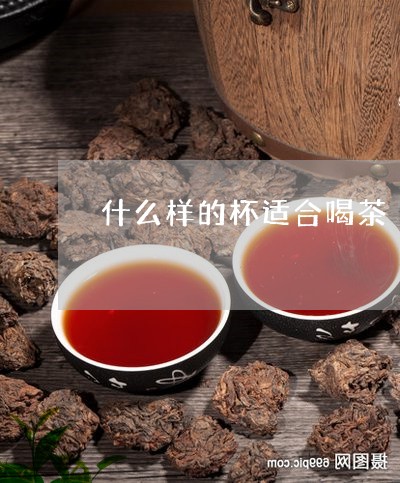 什么样的杯适合喝茶/2023041671482