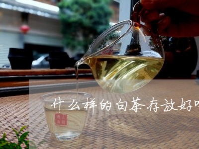 什么样的白茶存放好喝一点/2023040107283