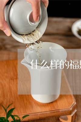 什么样的福鼎白茶做成茶砖/2023033110402