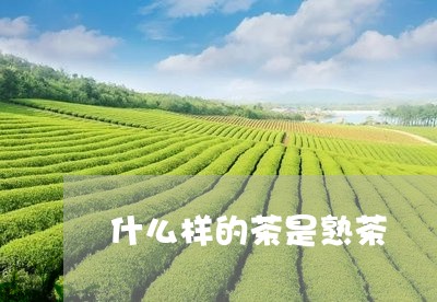 什么样的茶是熟茶/2023031701714