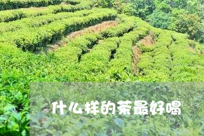 什么样的茶最好喝/2023032202793