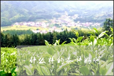 什么样的茶饼好啊/2023032434736