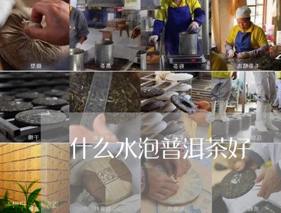 什么水泡普洱茶好/2023040967060