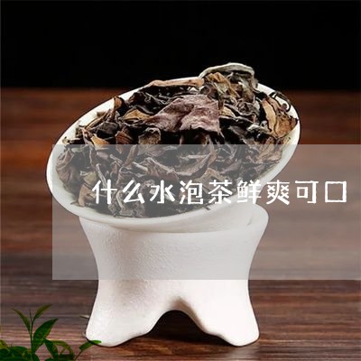 什么水泡茶鲜爽可口/2023032065149