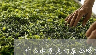 什么水煮老白茶好喝又健康/2023033181813