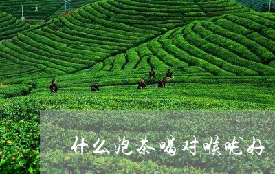 什么泡茶喝对喉咙好/2023041648684