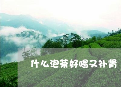 什么泡茶好喝又补肾/2023032005140