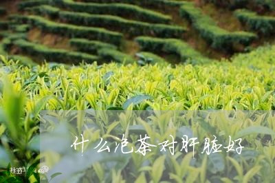 什么泡茶对肝脏好/2023032576371