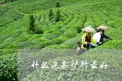 什么泡茶护肝最好/2023032569392