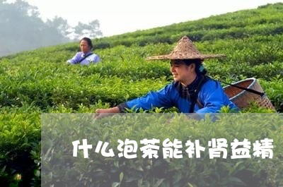 什么泡茶能补肾益精/2023032005250