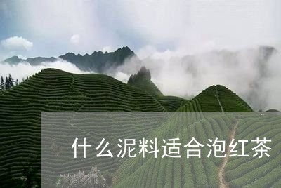 什么泥料适合泡红茶/2023041520593