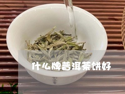 什么牌普洱茶饼好/2023033123615