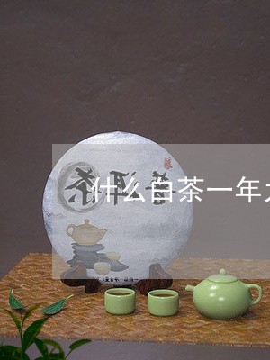 什么白茶一年为茶三年为药/2023033194049