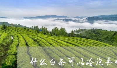 什么白茶可以冷泡再喝一杯/2023033164059