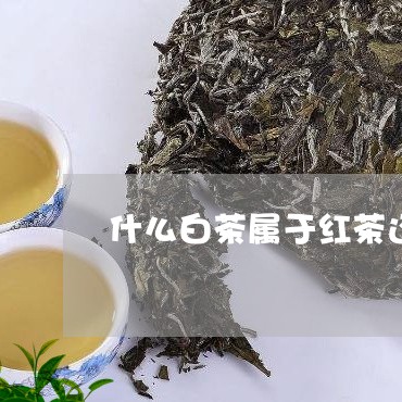 什么白茶属于红茶还是绿茶/2023033112705