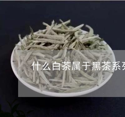 什么白茶属于黑茶系列的茶/2023033101603