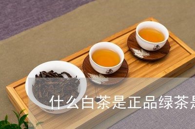 什么白茶是正品绿茶是红茶/2023033174050