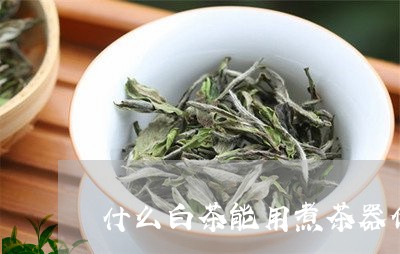 什么白茶能用煮茶器做茶饼/2023033167159