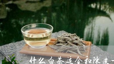 什么白茶适合和陈皮一起煮/2023033163916