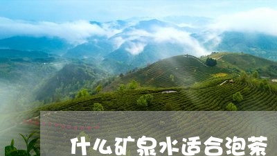 什么矿泉水适合泡茶/2023041602693