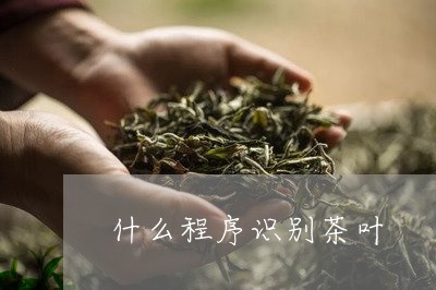 什么程序识别茶叶/2023032656470