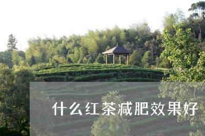 什么红茶减肥效果好/2023031823060