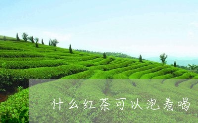 什么红茶可以泡着喝/2023041540582