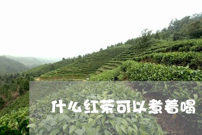 什么红茶可以煮着喝/2023041594957