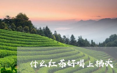 什么红茶好喝上档次/2023041560915