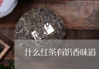 什么红茶有奶香味道/2023041528606