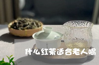 什么红茶适合老人喝/2023041561825