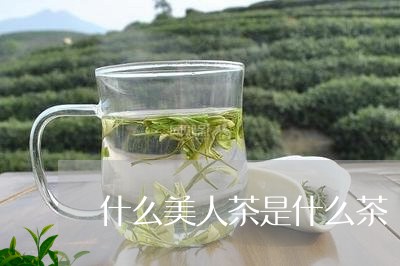 什么美人茶是什么茶/2023041517370