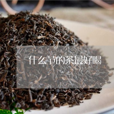 什么节的茶最好喝/2023041558794