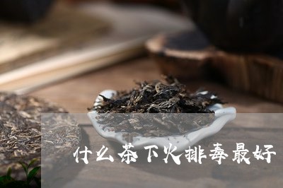 什么茶下火排毒最好/2023031928382