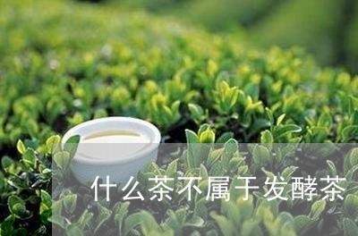 什么茶不属于发酵茶/2023041555938