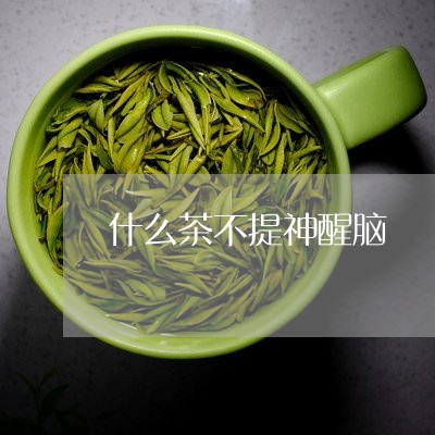 什么茶不提神醒脑/2023032341602