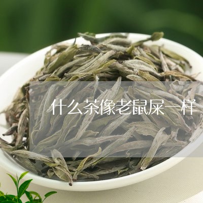 什么茶像老鼠屎一样/2023031994928