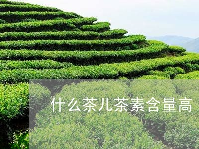 什么茶儿茶素含量高/2023041536240