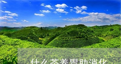 什么茶养胃助消化/2023032381613