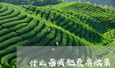 什么茶减肥最有效果/2023041552048