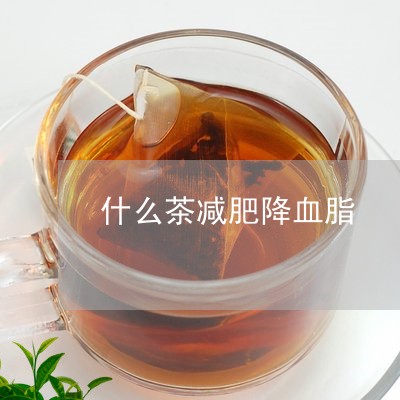 什么茶减肥降血脂/2023032390694