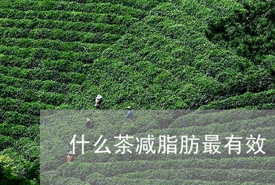 什么茶减脂肪最有效/2023031975258