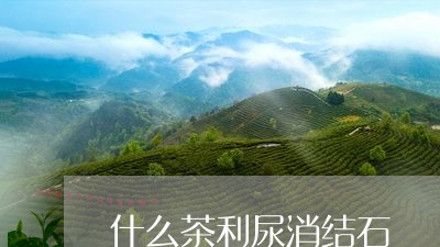 什么茶利尿消结石/2023032320604