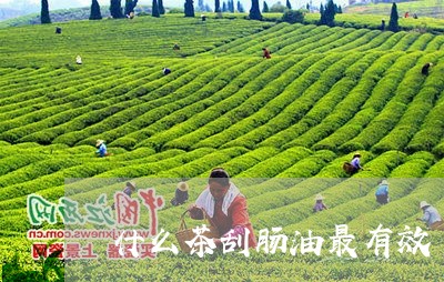 什么茶刮肠油最有效/2023032001618