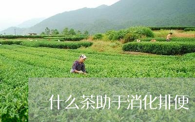 什么茶助于消化排便/2023032073615